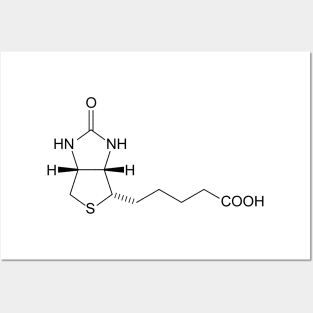 Vitamin B7 Biotin C10H16N2O3S Molecule Posters and Art